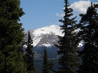 306 Grizzly Dr, Fairplay, CO 80440