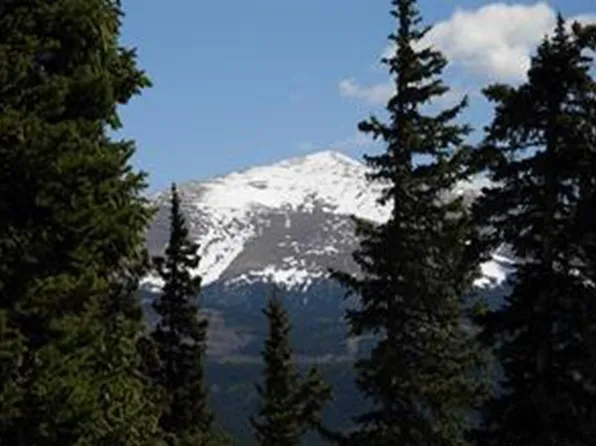 306 Grizzly Dr, Fairplay, CO 80440