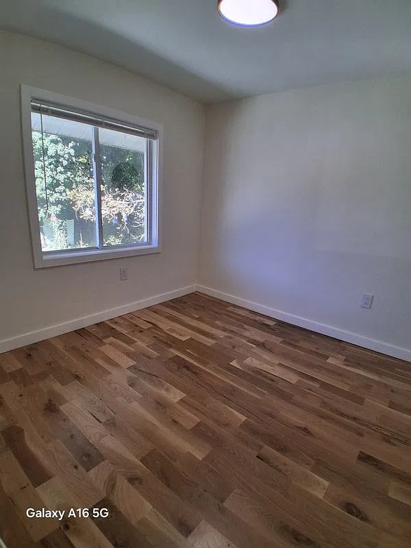 3 bed, 1.0 bath, 2200 sqft, $2,500 — Photo 4