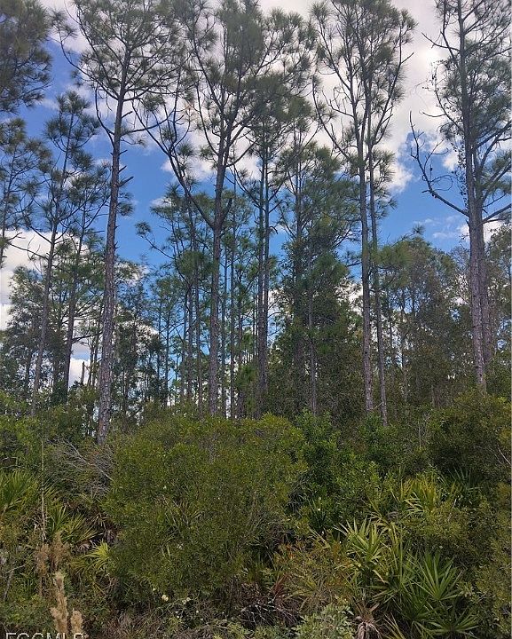 2nd image of 32910 Oil Well Rd