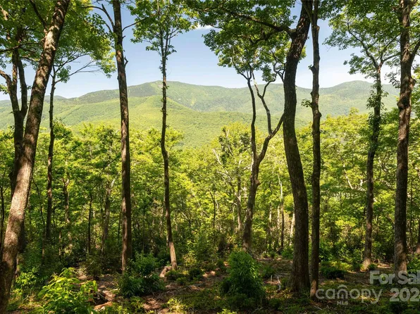 0 Big Ridge Rd, Burnsville, NC 28714