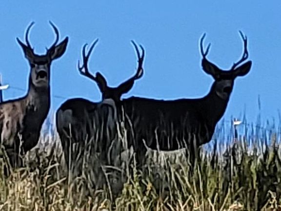 35th image of this home