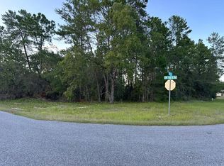 SW 165th Street Rd LOT 11, Ocala, FL 34473