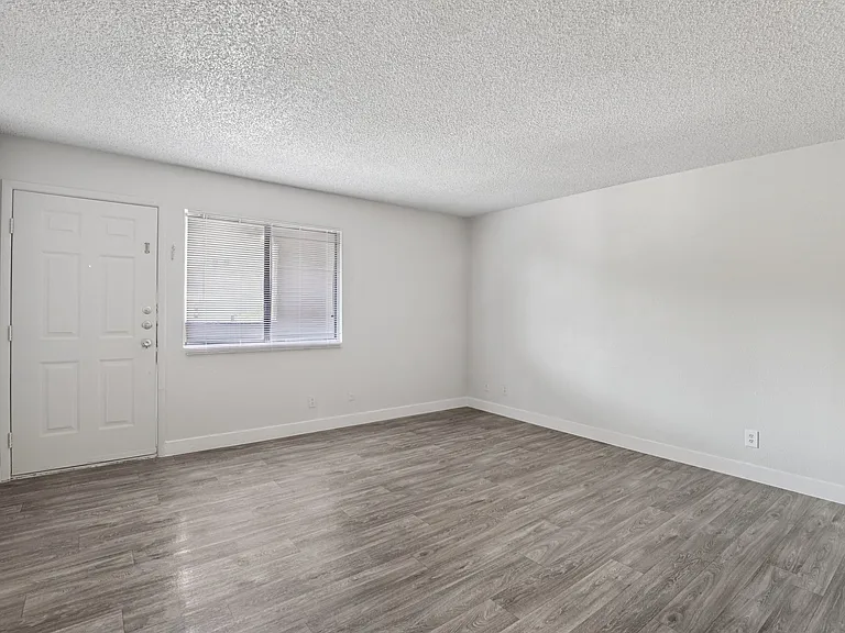 Large living room