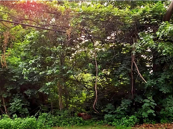 195 RONKONKOMA Avenue, Ronkonkoma, NY