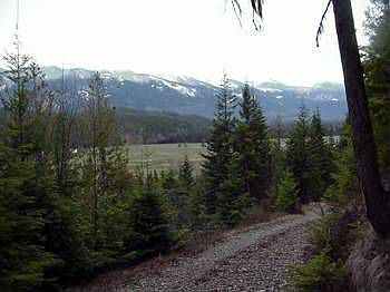 2nd image of 1600 Iron Creek Rd