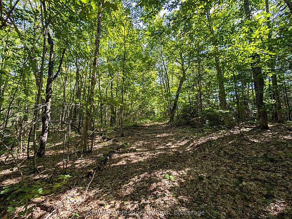 3rd image of 611 Bray Lake Rd