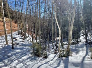 Tbd Horseshoe Drive, Divide, CO 80814