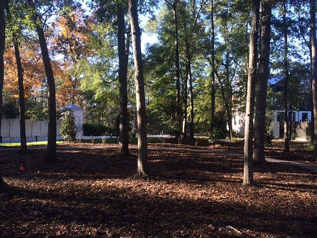 2nd image of 64 Robert Mills Cir