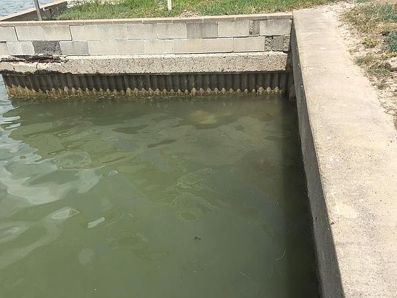 4th image of 1005 Tarpon Ave