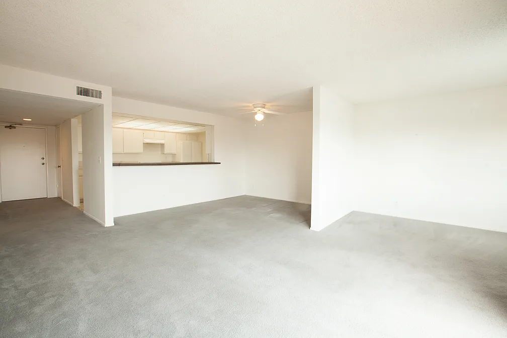 2 bed, $4,750 — Photo 4