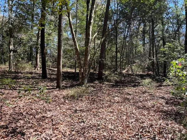 W Nottingham Rd, Bonifay, FL 32425