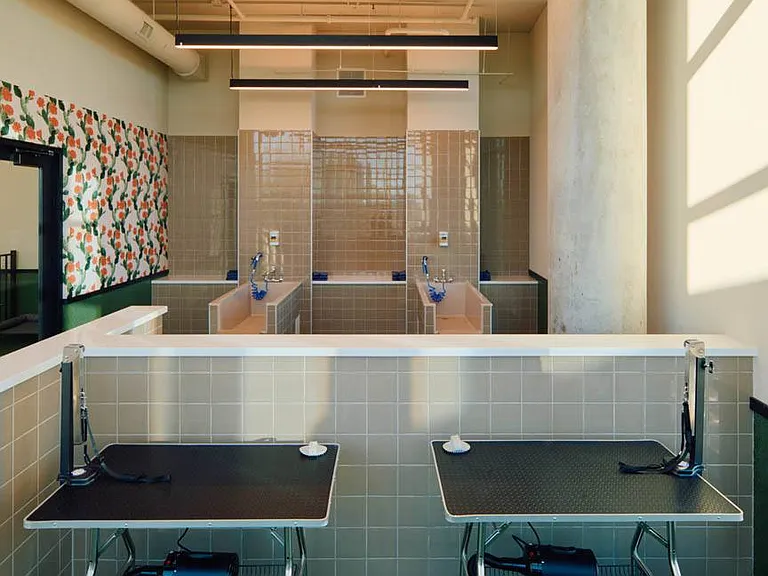 Sol Modern Phoenix Apartments Pet Spa