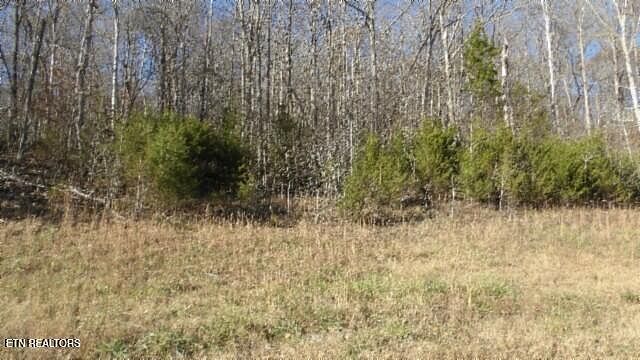 1st image of LOT 46 Cheyenne Dr