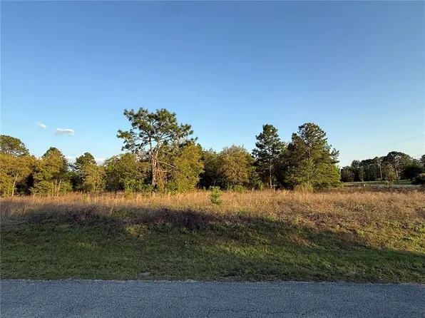 LOT 2 SW 65th Loop Lot 2, Dunnellon, FL 34432