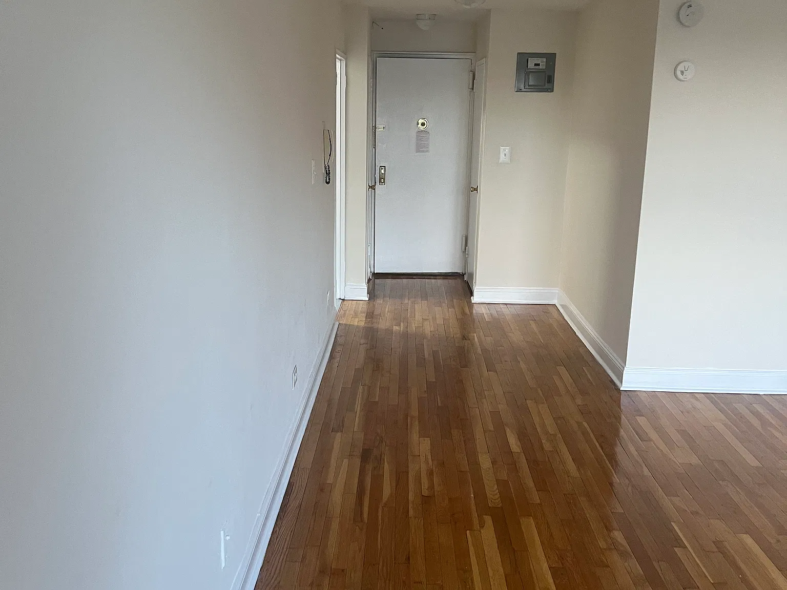 3323 Nostrand Ave — Photo 4