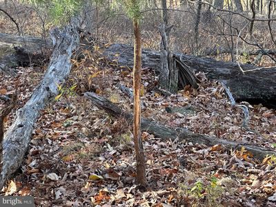 Babbling Brook Ln, Romney, WV, 26757