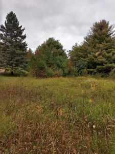 Hlywa Dr, Gaylord, MI, 49735