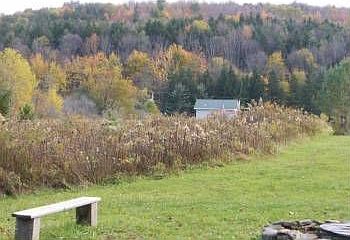 fire pit, house  distance