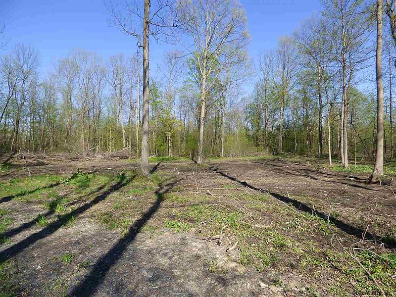 2nd image of 261A SCOTCH BUSH Road
