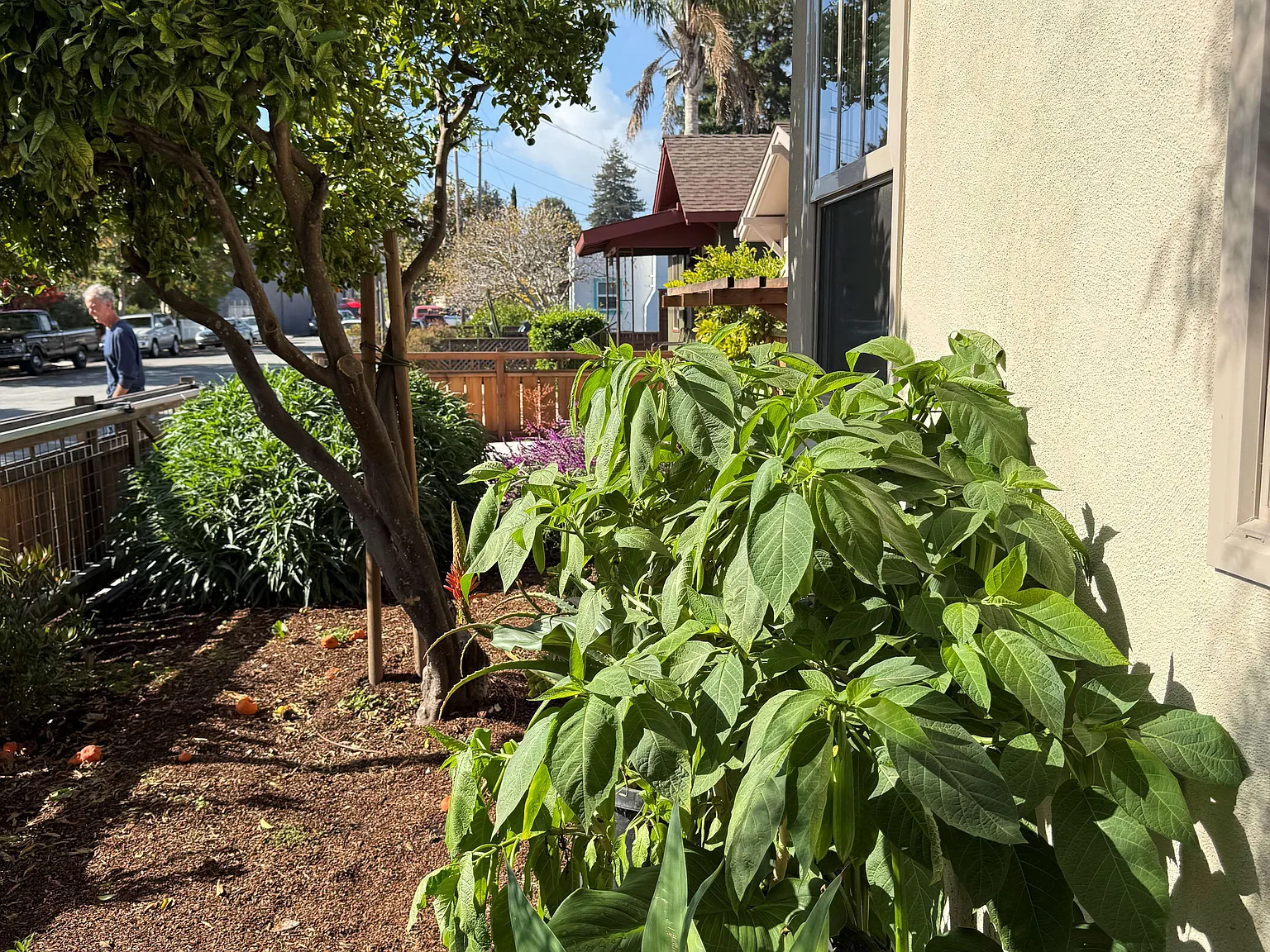 133 Washburn Ave — Photo 3