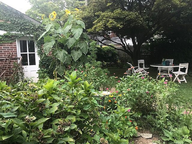 Summertime view of yard!
