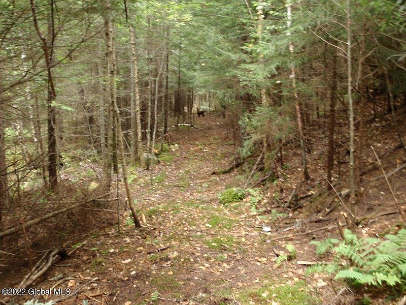 3rd image of 262 State Route 28N
