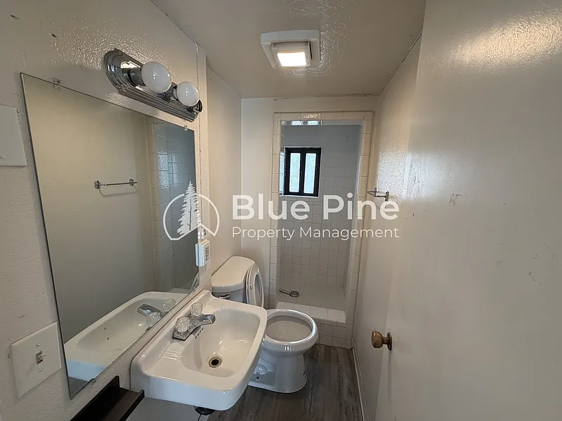 Studio, 1.0 bath, $650 — Photo 4
