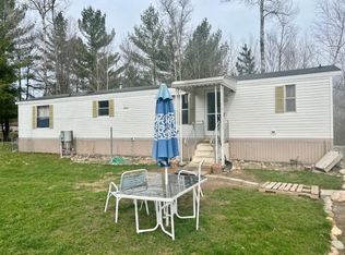 41 S Townline Rd, Mio, MI 48647