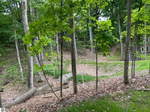 E Lake Bluffs Dr, Traverse City, MI 49684