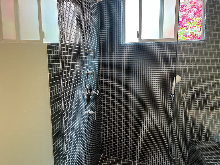 Serene walk-in shower facility