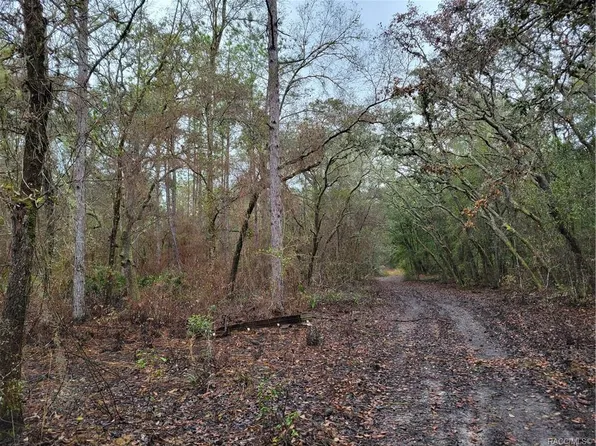 7244 W Pixie Ln, Dunnellon, FL 34433