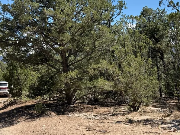 174 Hidden Valley Ranch Rd, Ilfeld, NM 87538
