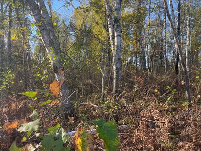 2 Oak Leaf Rd, Kerrick, MN, 55756