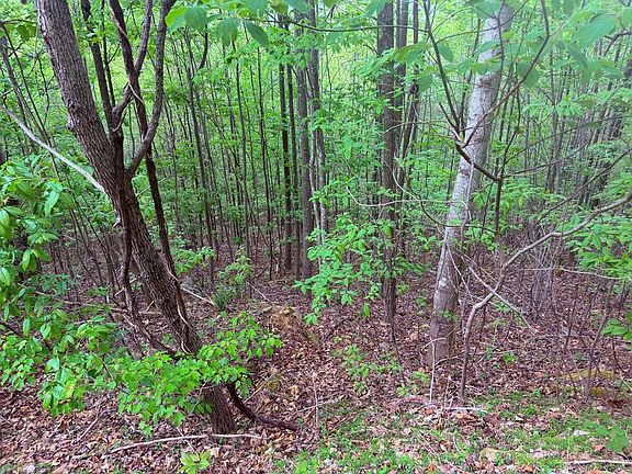 5th image of LOT 71 Fawn Ridge Trl
