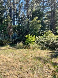 46251 Pacific Woods Road, Gualala, CA, 95445