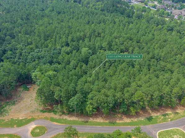 1115 Longleaf Trce #11, Greensboro, GA 30642