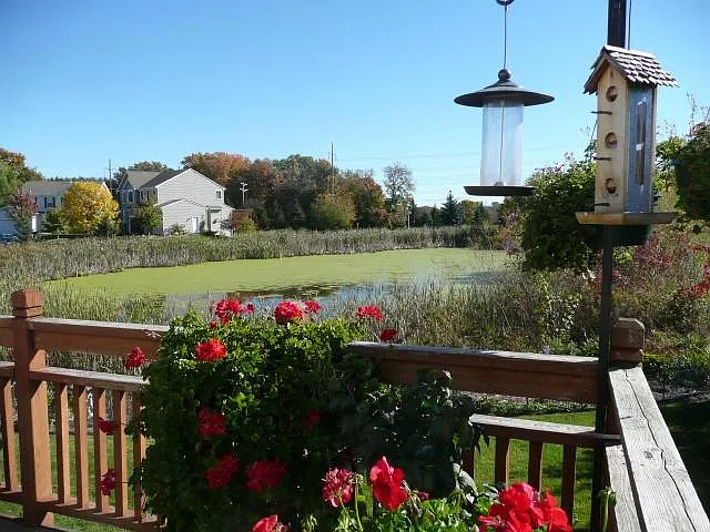 Privacy from the neighbors and beautiful view of the pond
