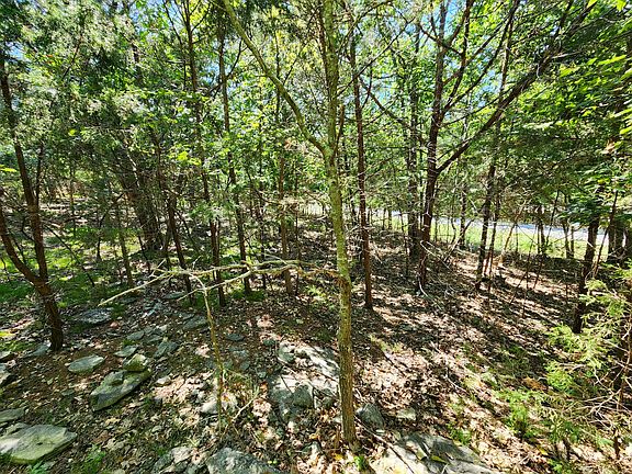 2nd image of 000 Cedar Drive