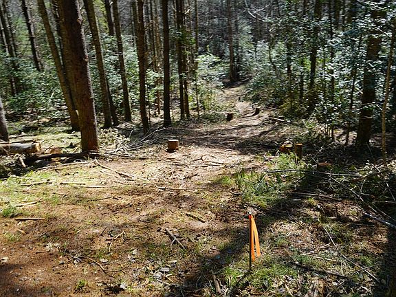 4th image of LT 2 TR6 Hiwassee Creek Estates