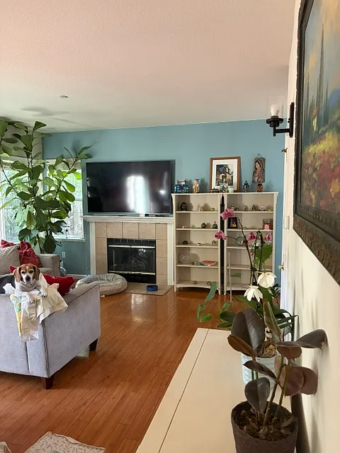 4 bed, 2.5 bath, 1700 sqft, $4,800 — Photo 4