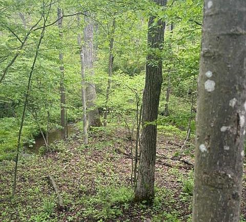 4th image of 1311 Red Hill Rd