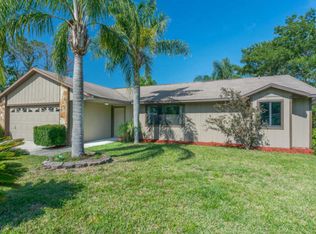 3223 Tamarind Dr, Edgewater, FL 32141