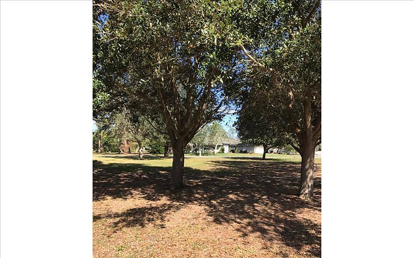 1st image of 1564 Camellia Ct