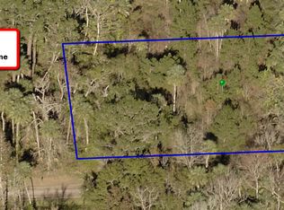 24031 Bass Rd, Astor, FL 32102