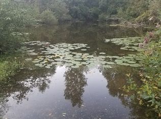 4668 Briggs Rd, Otter Lake, MI 48464