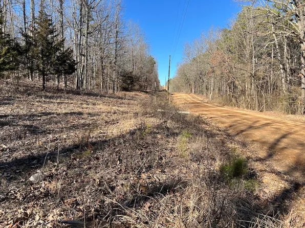 Lot 2 County Road 113, Alton, MO 65606