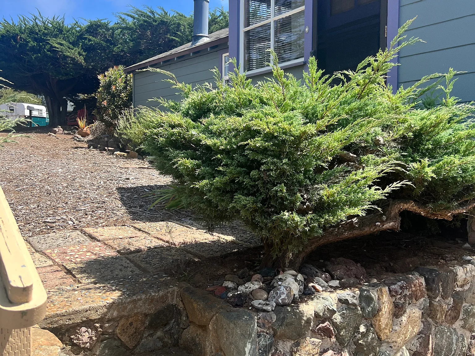 449 Estero Ave — Photo 3
