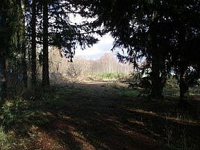 2nd image of 22807 Bridgewater Rd