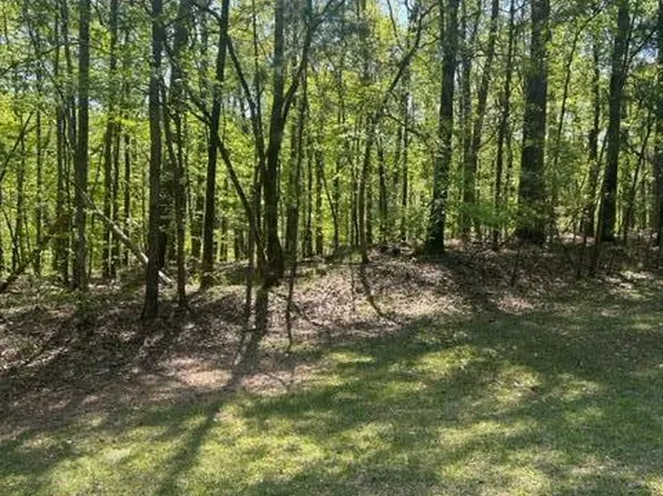 31 Aberdeen Rd, Dadeville, AL 36853